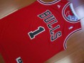 /album/chicago-bulls/a25-rose-1-red-swingman-jpg/